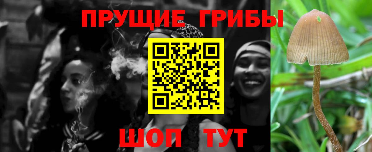 Псилоцибиновые грибы ЛСД Кинешма