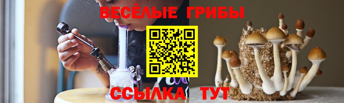 Кинешма  Псилоцибиновые грибы Magic Shrooms  Псилоцибиновые грибы MAGIC MUSHROOMS  Вход с VPN 