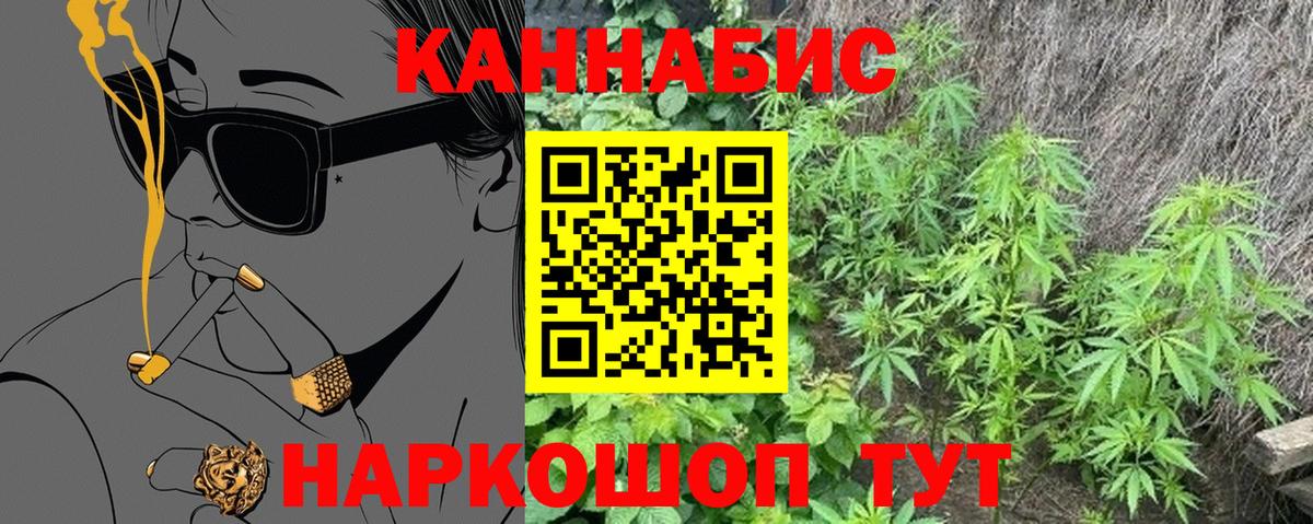 Бошки Шишки гибрид Кинешма